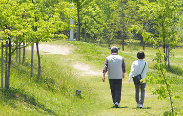 食事療法と併用することをお勧め